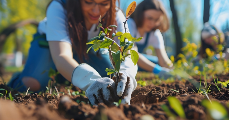 Noticia iniciativa-sustentavel-parceria-para-a-plantacao-de-mil-arvores-na-cidade